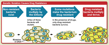 Image result for antibiotic resistance